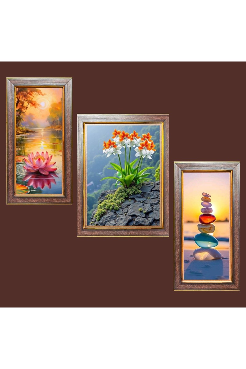 3-Pack Colorful Echoes of Nature Photo Frames - 2 Pieces 6x13 Inch & 1 Piece 10x13 Inch - Rustic Wall Art for Home & Office Decor - Botanical Wall Hanging for Living Room, Bedroom, or Workspace