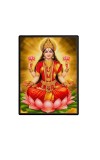 Lakshmi Laminated Photo - 5x7 Inches, Divine Blessings for Home & Office and Temple Decoration