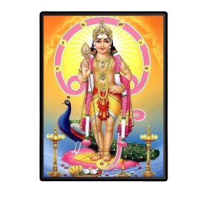 Kartikeya Laminated Photo - 5x7 Inches, Divine Blessings for Home & Office and Temple Decoration Kartikeya Laminated Photo - 5x7 Inches, Divine Blessings for Home & Office and Temple Decoration
