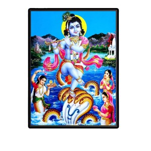 Kaaliya Naag With Baby Krishna Laminated Photo (13x15 Inches Without glass) Divine Blessings for Table and Walls,Home & Office and Temple Decoration