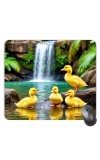 Customized Chicks Picture Sublimation Mouse Pad | 8 X 7.5 Inch | Smooth Cloth Surface | Non-Slip Rubber Base | Personalized Mousepad for Laptop & Desktop (F17060)