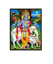 Krishna Laminated Photo - 11x13 Inches, Divine Blessings for Home & Office and Temple Decoration