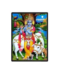 Krishna Laminated Photo - 5x7 Inches, Divine Blessings for Home & Office and Temple Decoration