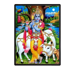 Krishna Laminated Photo - 5x7 Inches, Divine Blessings for Home & Office and Temple Decoration