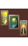 3-Pack Dawnâ€™s Gentle Glow Photo Frames - 2 Pieces 8x15 Inch & 1 Piece 12x15 Inch - Rustic Wall Art for Home & Office Decor - Botanical Wall Hanging for Living Room, Bedroom, or Workspace