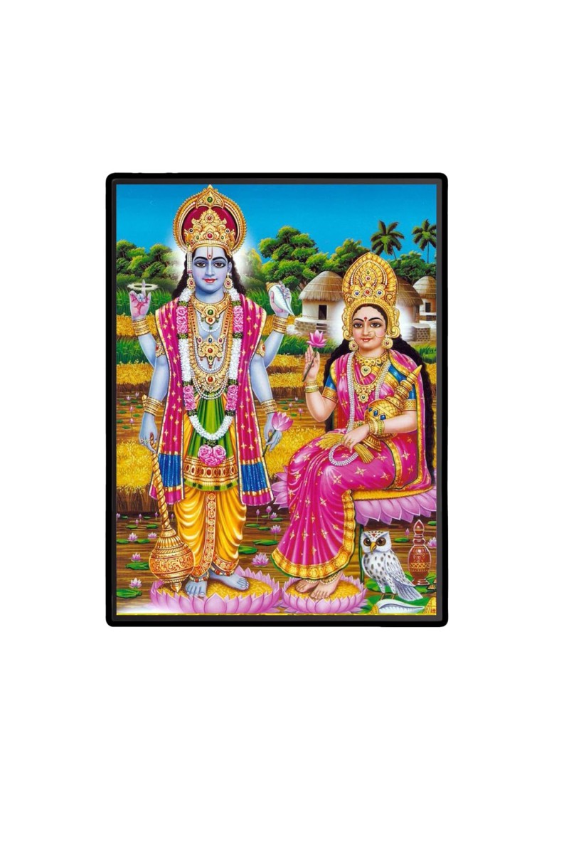 Vishnu Lakshmi Laminated Photo - 9x11 Inches, Divine Blessings for Home & Office and Temple Decoration