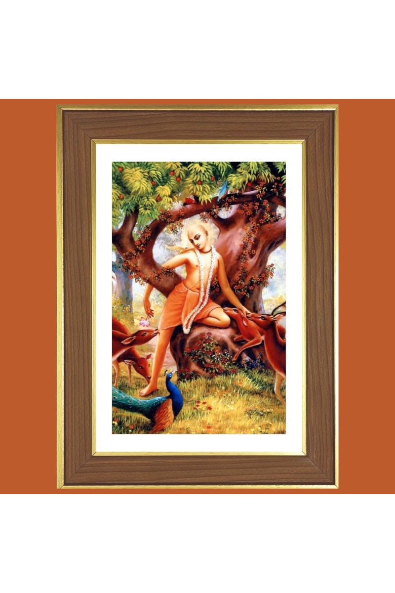 Sri Chaitanya Mahaprabhu Photo Frame - 12x16 Inches, Brown Wooden Frame for Home, Office & Temple Decoration