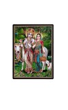 Radha Krishna Laminated Photo - 5x7 Inches, Divine Blessings for Home & Office and Temple Decoration