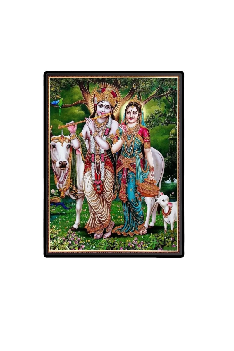 Radha Krishna Laminated Photo - 5x7 Inches, Divine Blessings for Home & Office and Temple Decoration