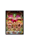 Sri Jagannath Maha Pravu Laminated Photo (9x11 Inches Without glass) Divine Blessings for Table and Walls,Home & Office and Temple Decoration