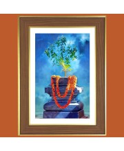 Tulasi Plant Photo Frame - 10x14 Inches, Brown Wooden Frame for Home, Office & Temple Decoration