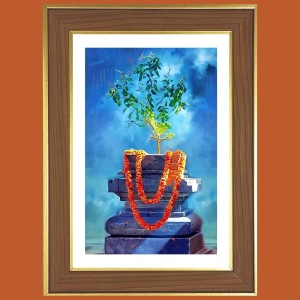 Tulasi Plant Photo Frame - 10x14 Inches, Brown Wooden Frame for Home, Office & Temple Decoration