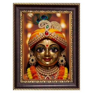 Divine Krishna Digital Print Photo 10.7x12.7 inches (I6096) - Vibrant Religious Wall Art for Home or Office Decor.