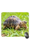 Customized Turtle Picture Sublimation Mouse Pad | 8 X 7.5 Inch | Smooth Cloth Surface | Non-Slip Rubber Base | Personalized Mousepad for Laptop & Desktop (F17055)