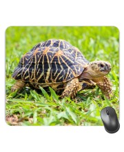 Customized Turtle Picture Sublimation Mouse Pad | 8 X 7.5 Inch | Smooth Cloth Surface | Non-Slip Rubber Base | Personalized Mousepad for Laptop & Desktop (F17055)