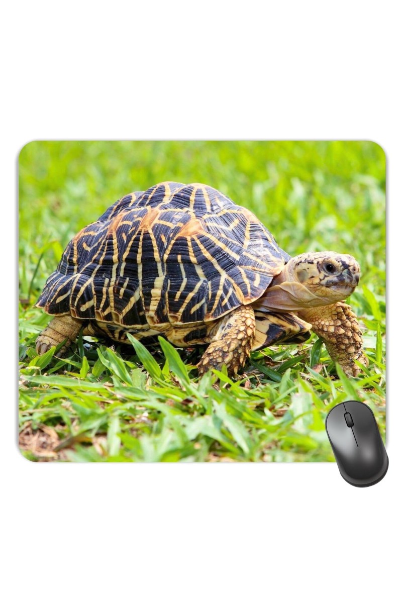 Customized Turtle Picture Sublimation Mouse Pad | 8 X 7.5 Inch | Smooth Cloth Surface | Non-Slip Rubber Base | Personalized Mousepad for Laptop & Desktop (F17055)