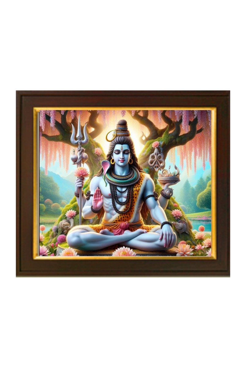 Hitech Sales | Lord Shiva Colorful Photo Frame - Ideal for Home Decoration, Pooja Room and Gifting - Size: 10x12 inch.