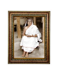 HiTech SalesMaa Devi Sarada ji photo frame for wall hanging/gift/temple/puja room/home decor with PVC Frame & Front Face - Glass (10 x 8 in)