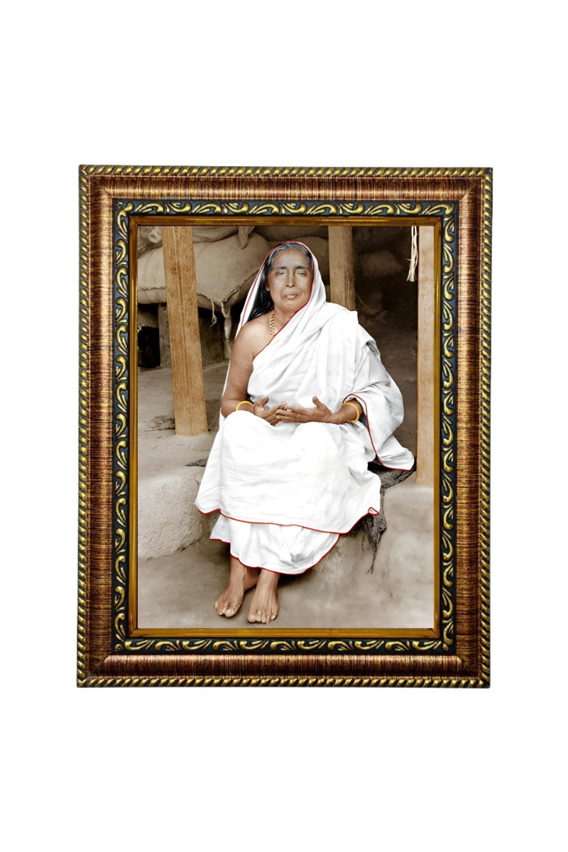 HiTech SalesMaa Devi Sarada ji photo frame for wall hanging/gift/temple/puja room/home decor with PVC Frame & Front Face - Glass (9 x 7 in)