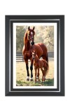 Horse And Her Foal Photo Wall & Table Frame | 16x20 Inch Black Designer | Perfect For Gifting & Home Decor (F9612)