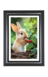 Cute Bunny Rabbit Photo Wall & Table Frame | 18x22 Inch Black Designer | Perfect For Gifting & Home Decor (F9621)