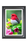 Summer Tanager Photo Wall & Table Frame | 10x14 Inch Black Designer | Perfect For Gifting & Home Decor (F9649)