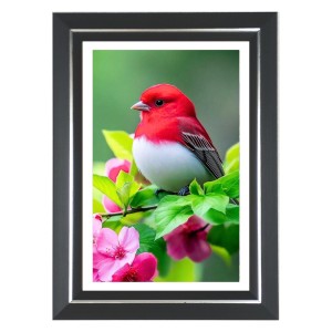 Summer Tanager Photo Wall & Table Frame | 12x16 Inch Black Designer | Perfect For Gifting & Home Decor (F9649) Summer Tanager Photo Wall & Table Frame | 12x16 Inch Black Designer | Perfect For Gifting & Home Decor (F9649)