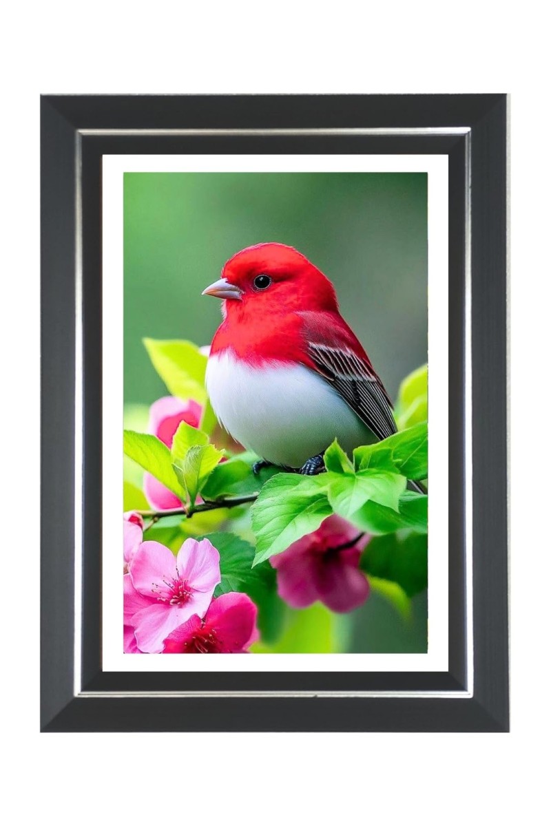 Summer Tanager Photo Wall & Table Frame | 10x14 Inch Black Designer | Perfect For Gifting & Home Decor (F9649)