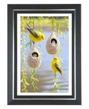 Yellow Warbler Photo Wall & Table Frame | 10x14 Inch Black Designer | Perfect For Gifting & Home Decor (F9642)