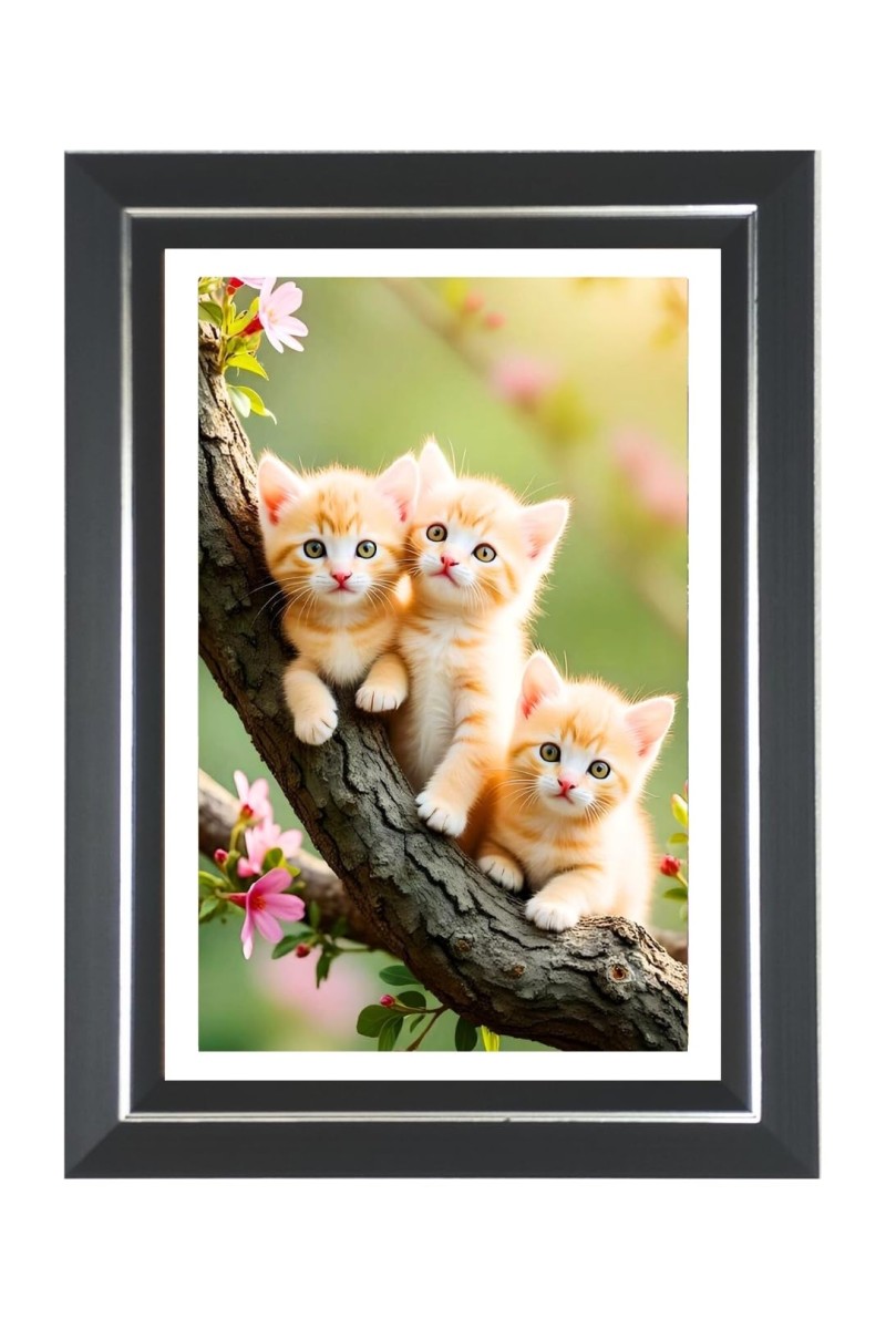 Three Kittens Photo Wall & Table Frame | 12x16 Inch Black Designer | Perfect For Gifting & Home Decor (F9654)