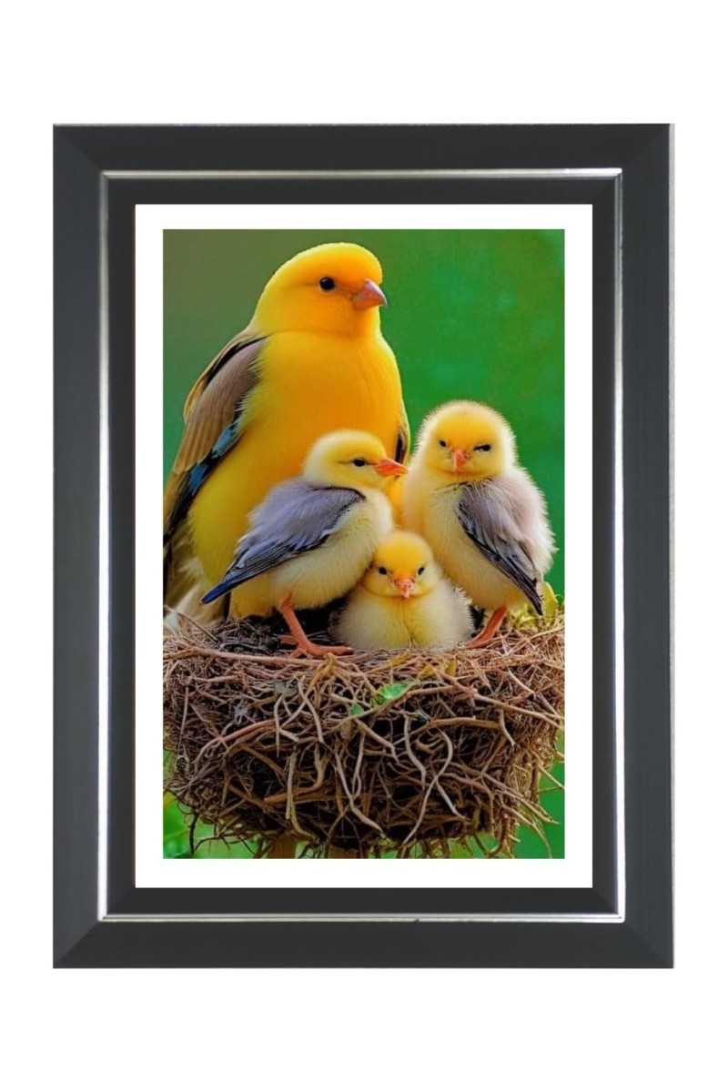 Yellow Canary Photo Wall & Table Frame | 12x16 Inch Black Designer | Perfect For Gifting & Home Decor (F9613)