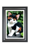 Cat Photo Wall & Table Frame | 10x14 Inch Black Designer | Perfect For Gifting & Home Decor (F9653)