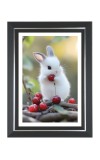 Cute Bunny Rabbit Photo Wall & Table Frame | 12x16 Inch Black Designer | Perfect For Gifting & Home Decor (F9623)