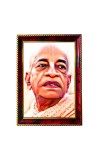 Swami Srila Prabhupada Ji Photo Frame For Wall & Table | 7x9 Inch Golden Cherry Finish | Decorative Swami Srila Prabhupada Ji Photo Frame For Home, Office & Pooja Room (F11526)