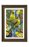 European Goldfinch (Carduelis Carduelis) Big Photo Frame - 20x28 Inches For Home,Temple & Office Decoration (F10694)