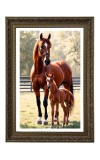 Horse Mom And Her Foal Big Photo Frame - 20x28 Inches For Home,Temple & Office Decoration (F11032)