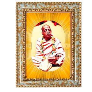 A.C. Bhaktivedanta Swami Prabhupada Spiritual Guru Digital Photo In Designer Frame, Size 8x12 Inch | Hindu Religious Picture For Home Temple, Office & Gift | Wall Art & Pooja Decor (F10483)