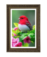 Northern Cardinal Big Photo Frame - 20x28 Inches For Home,Temple & Office Decoration (F11056)