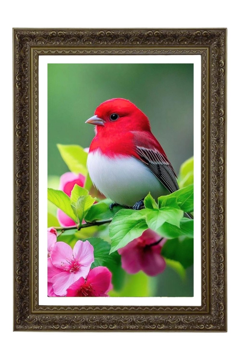 Northern Cardinal Big Photo Frame - 20x28 Inches For Home,Temple & Office Decoration (F11056)