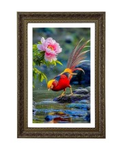 Golden Pheasant (Chrysolophus Pictus) Big Photo Frame - 20x28 Inches For Home,Temple & Office Decoration (F10695)