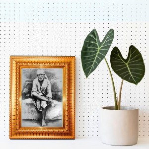 Shirdi Sai Baba Golden Designer Photo Frame | 16x20 Inch Religious Wall Hanging Frame For Home & Office Decoration | Hindu Deity Spiritual Gift Item