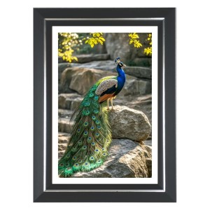 Peacock Photo Wall & Table Frame | 18x22 Inch Black Designer | Perfect For Gifting & Home Decor (F9611) Peacock Photo Wall & Table Frame | 18x22 Inch Black Designer | Perfect For Gifting & Home Decor (F9611)