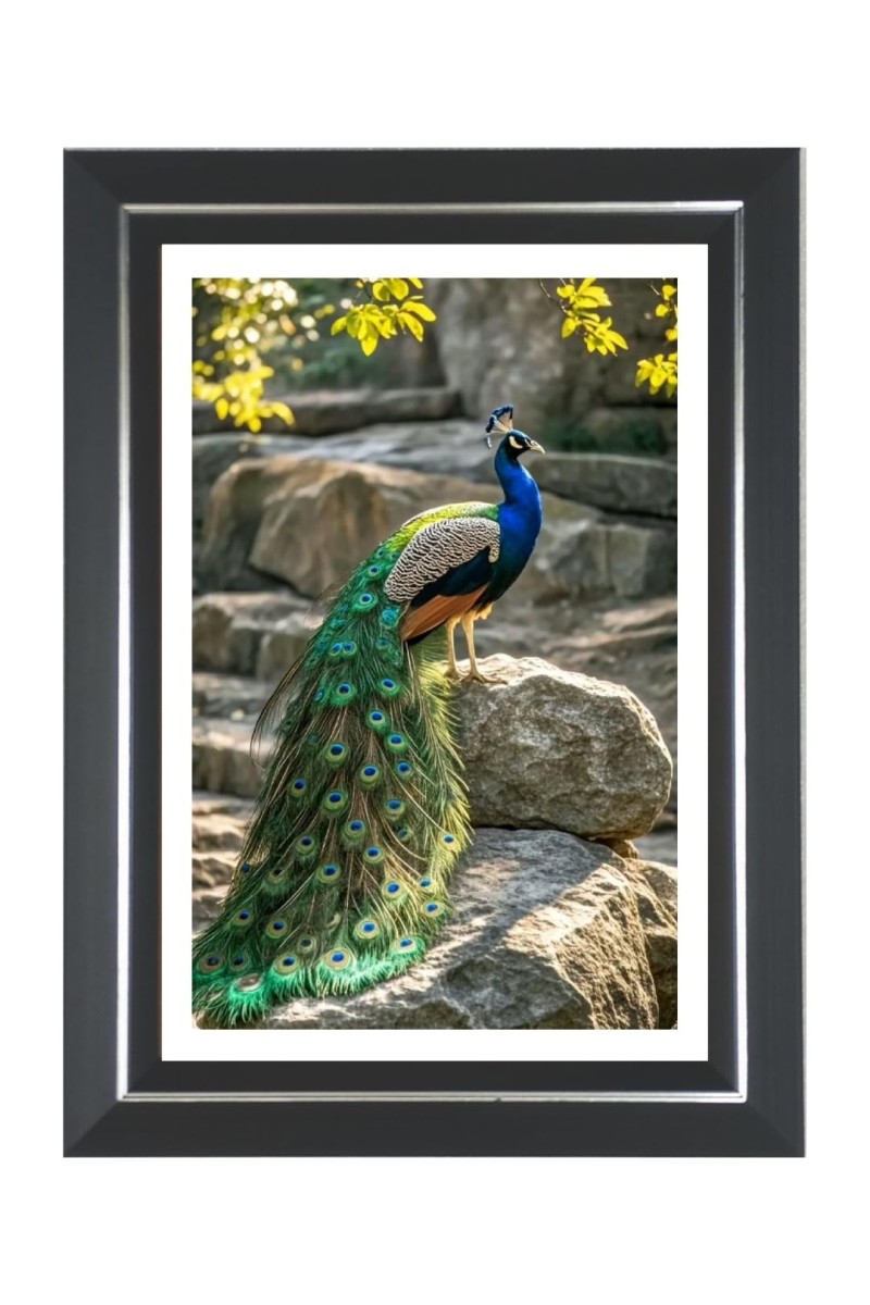 Peacock Photo Wall & Table Frame | 14x18 Inch Black Designer | Perfect For Gifting & Home Decor (F9611)