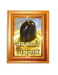 Jai Kashi Vishwanath Golden Designer Photo Frame | 10x14 Inch Religious Wall Hanging Frame For Home & Office Decoration | Hindu Deity Jai Kashi Vishwanath Spiritual Gift Item