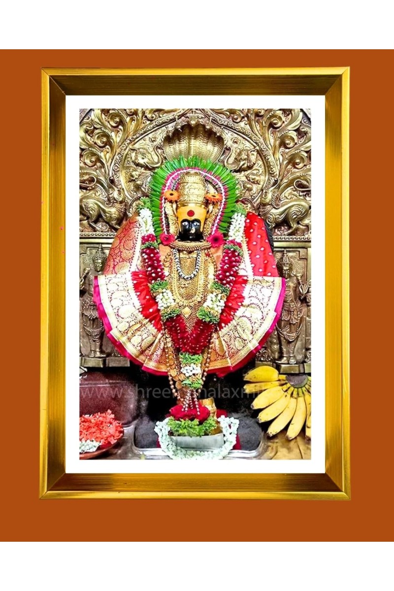 Golden Photo Frame - 10x14 Inches | Elegant Wooden Frame For Home, Office & Temple Decoration | Spiritual Wall & Table Decor and Gift Item