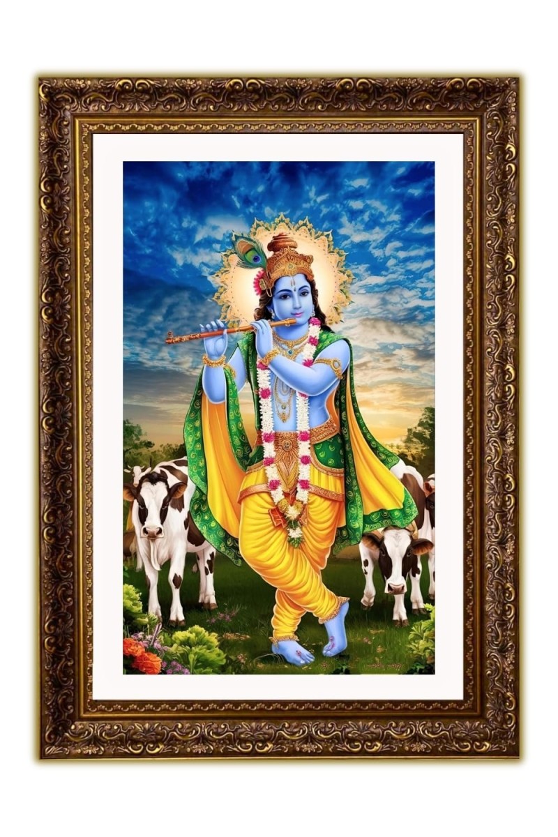 Vertical16X24 Inches Frame Big Photo Frame - 20x28 Inches For Home,Temple & Office Decoration (F10889)