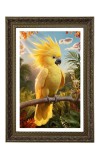 Golden Parakeet Big Photo Frame - 20x28 Inches For Home,Temple & Office Decoration (F11040)