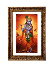 Vertical16X24 Inches Frame Big Photo Frame - 20x28 Inches For Home,Temple & Office Decoration (F10982)