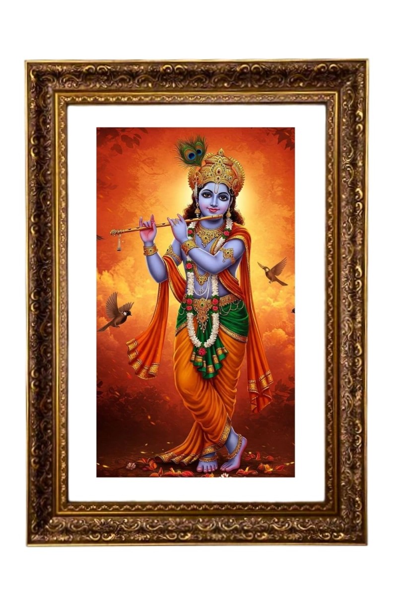 Vertical16X24 Inches Frame Big Photo Frame - 20x28 Inches For Home,Temple & Office Decoration (F10982)