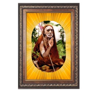 Jagadguru Shri Chandrasekharendra Saraswati Swamigal Spiritual Guru Digital Photo In Designer Frame, Size 12x18 Inch | Hindu Religious Picture For Home Temple, Office & Gift | Wall Art & Pooja Decor ( Jagadguru Shri Chandrasekharendra Saraswati Swamigal Spiritual Guru Digital Photo In Designer Frame, Size 12x18 Inch | Hindu Religious Picture For Home Temple, Office & Gift | Wall Art & Pooja Decor (